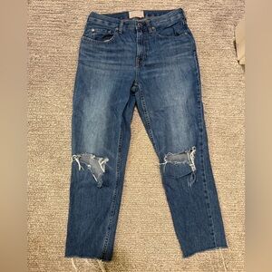Everlane The Summer Jean Distressed Knee Raw Hem Cropped Denim Size 26